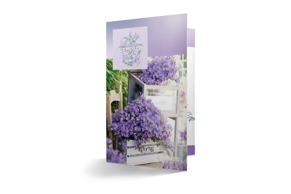 Leaflet met het campanula campala assortiment