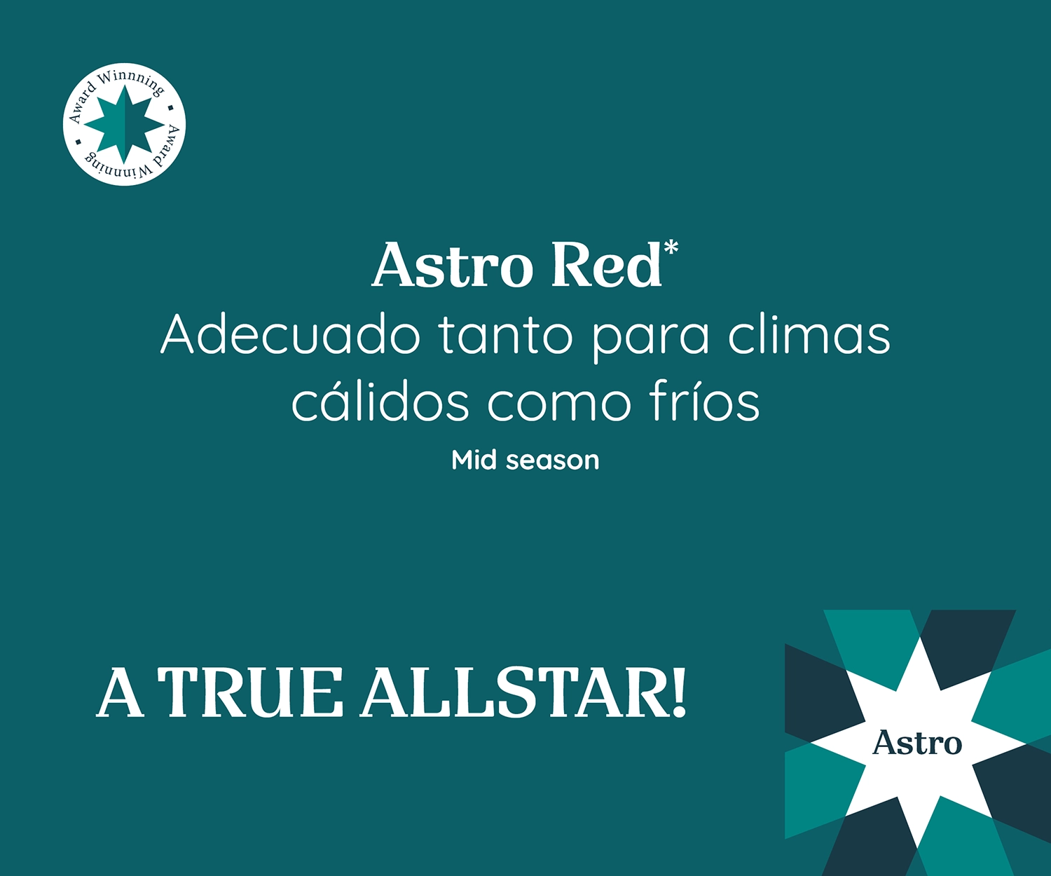 Imagen promocional de Poinsettia Astro Red, adecuada para climas cálidos y fríos. Temporada media. Etiqueta: '¡UNA VERDADERA ESTRELLA!'