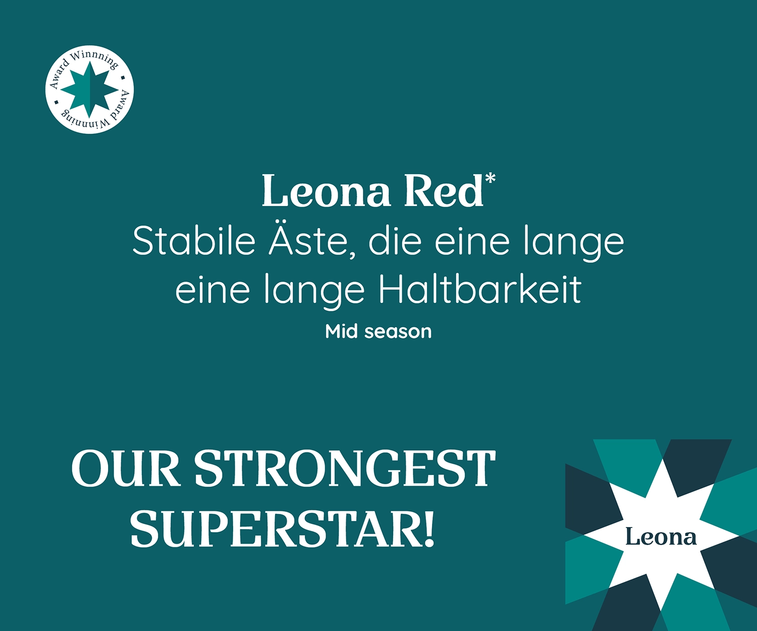 Promotionsgrafik der Poinsettia Leona Red mit Auszeichnung. Stabile Äste für lange Haltbarkeit. Mittlere Saison. Label: 'OUR STRONGEST SUPERSTAR!