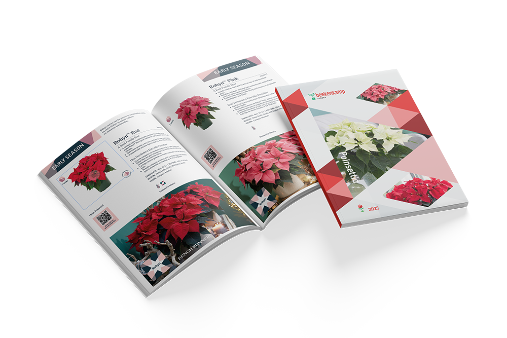 NA poinsettia catalogus