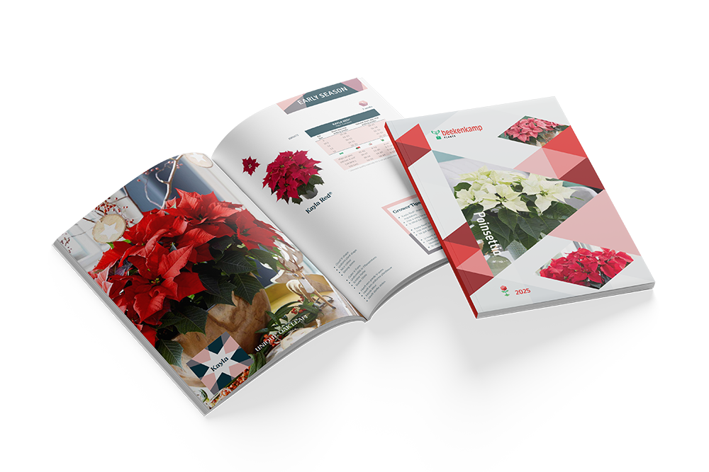 Poinsettia EU catalogus