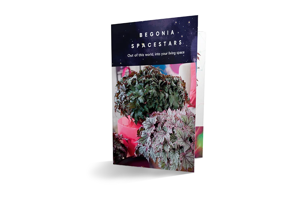 Brochure met het Begonia Spacestars assortiment.