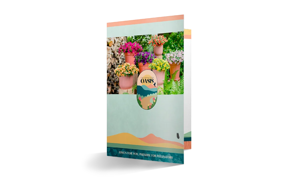 Brochure met het Calibrachoa Oasis assortiment.