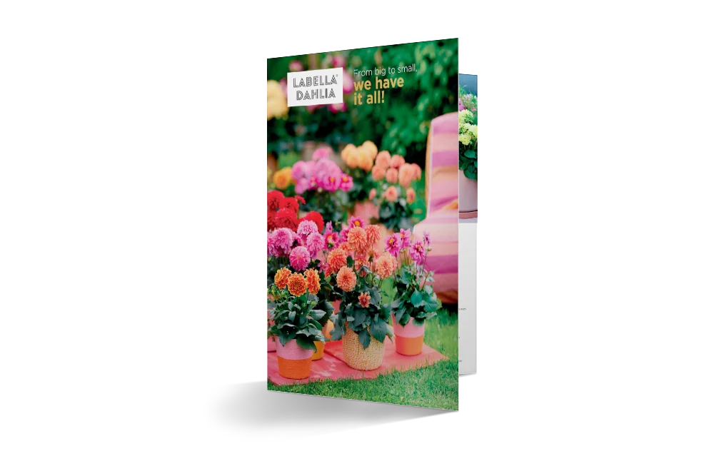 Brochure met het LaBella Dahlia assortiment.