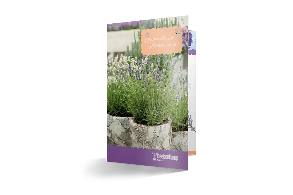 Brochure met het Lavandula Aromance assortiment.