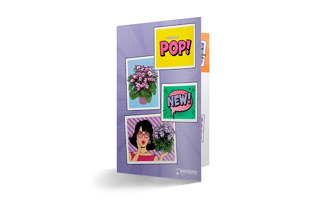 Brochure met het Pericallis POP assortiment.