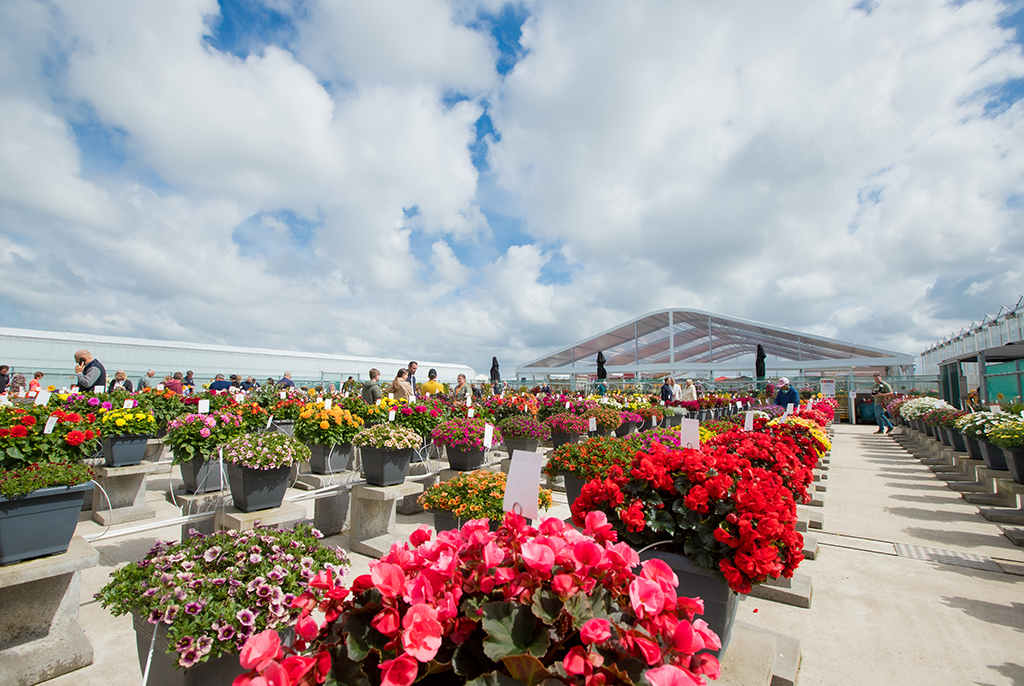Flower Trials