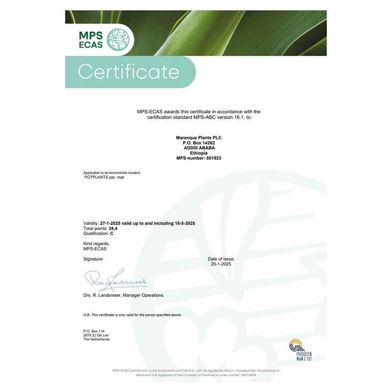 MPS-ECAS Maranque