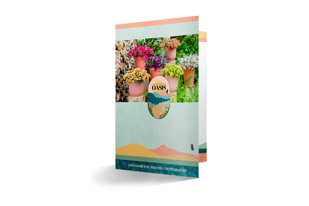 Calibrachoa Oasis folder