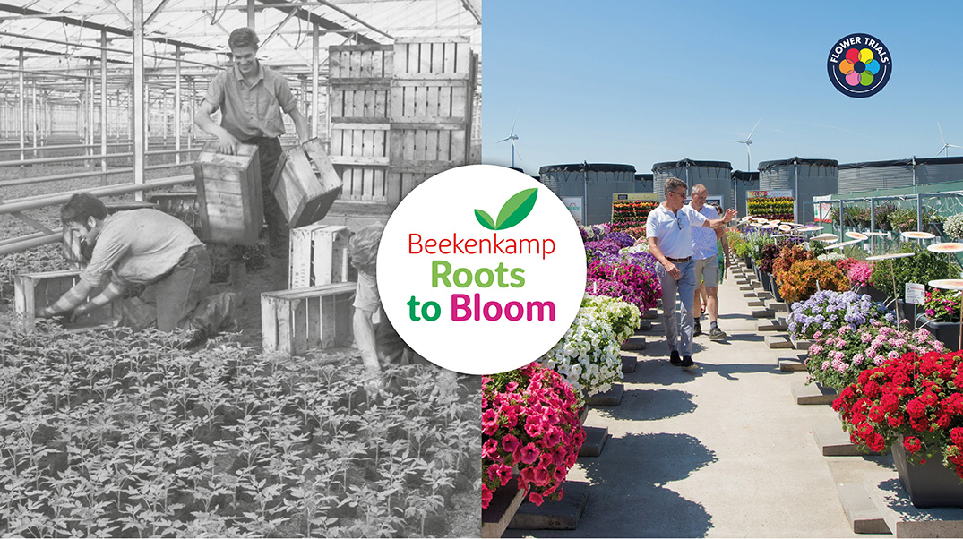Flower Trials 2025
