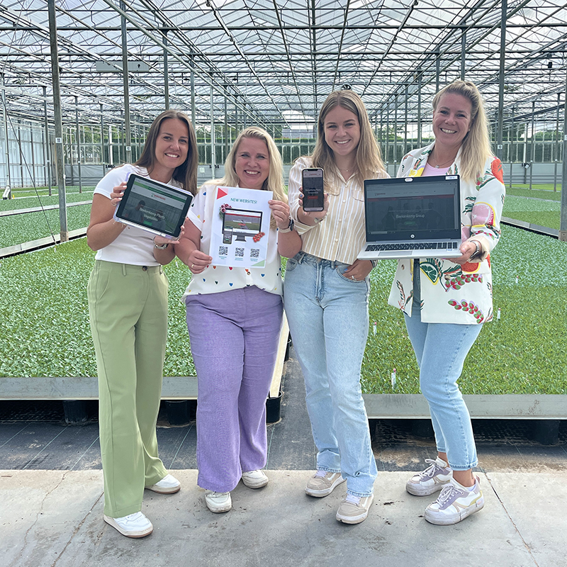 Team Marketing