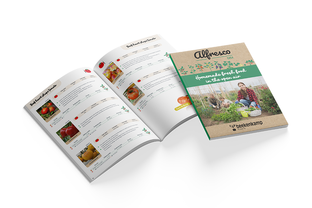 Alfresco Catalog 2026 – Beekenkamp Plants Ornamentals