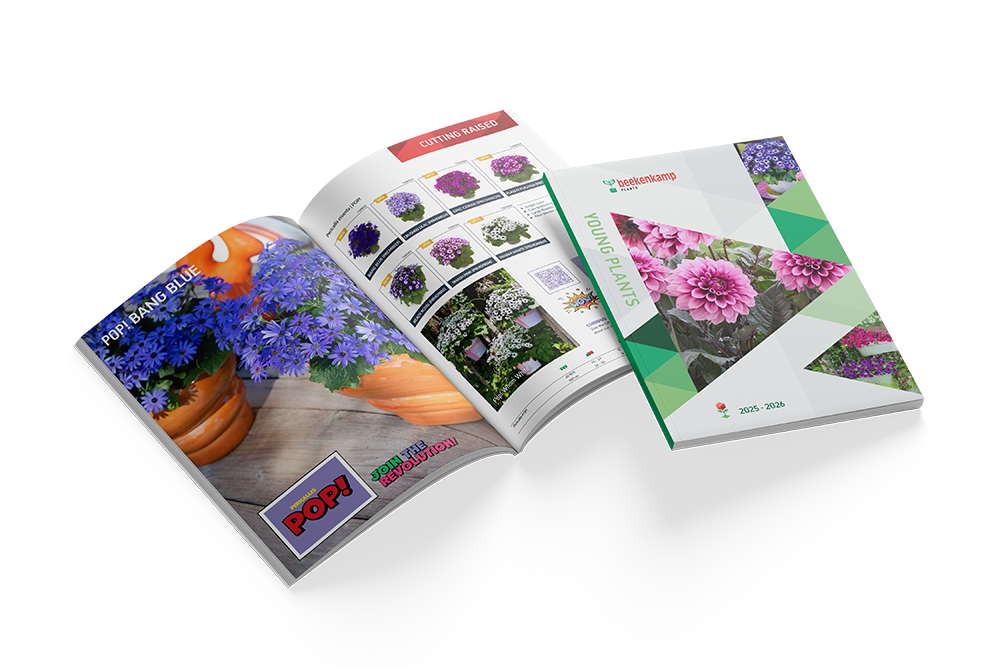 Pot and Bedding Young Plants Catalog 2025-2026 – Beekenkamp Plants Ornamentals