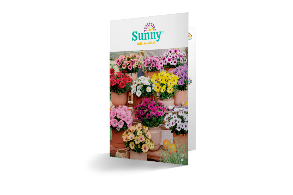 Leaflet Osteospermum Sunny – Beekenkamp Plants Ornamentals