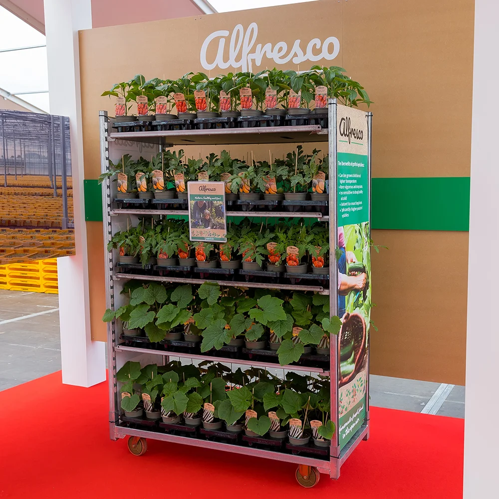 Retaildisplay met Alfresco hobbygroenten in pot op een Deense kar.