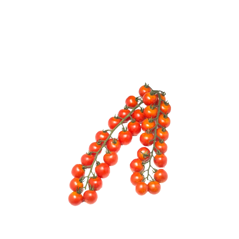 Twee trossen rode Alfresco tomaten aan groene steel.