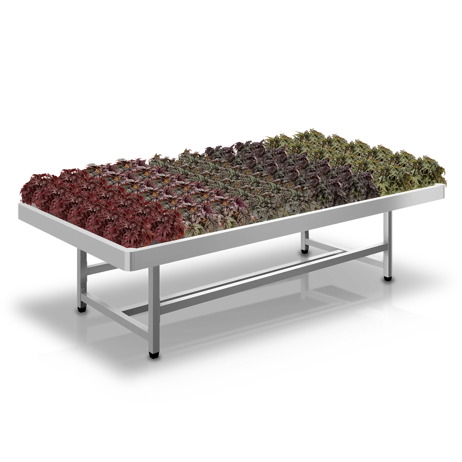 Tuincentrumtafel met begonia’s met diverse bladkleuren voor retailpresentatie.