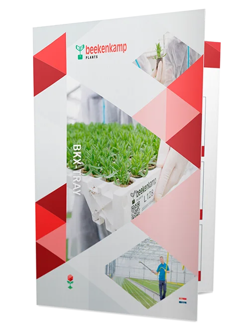 Leaflet met de specificaties van de BKX-tray.