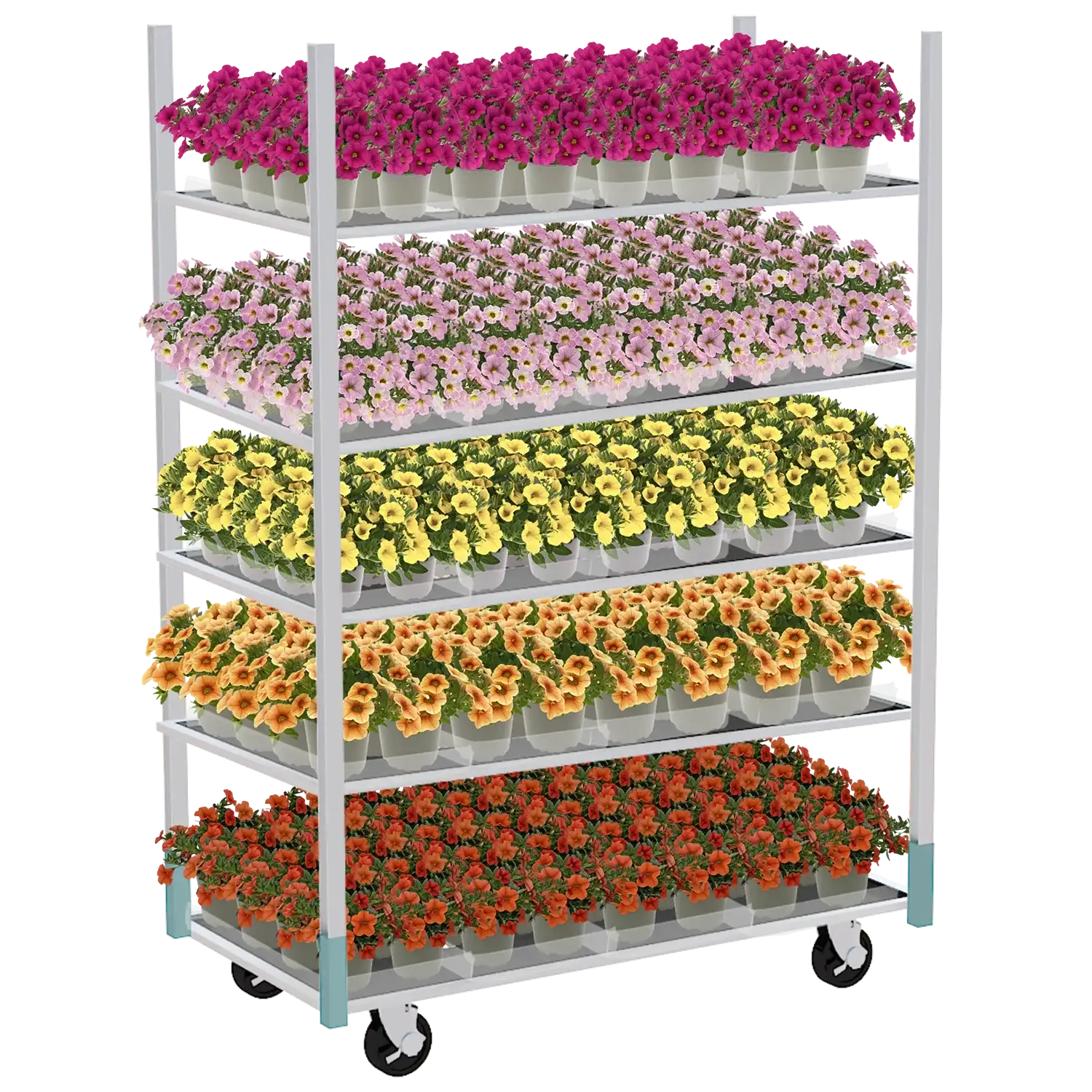 Deense kar met vijf lagen gevuld met bloeiende calibrachoa's in verschillende kleuren voor retailpresentatie.