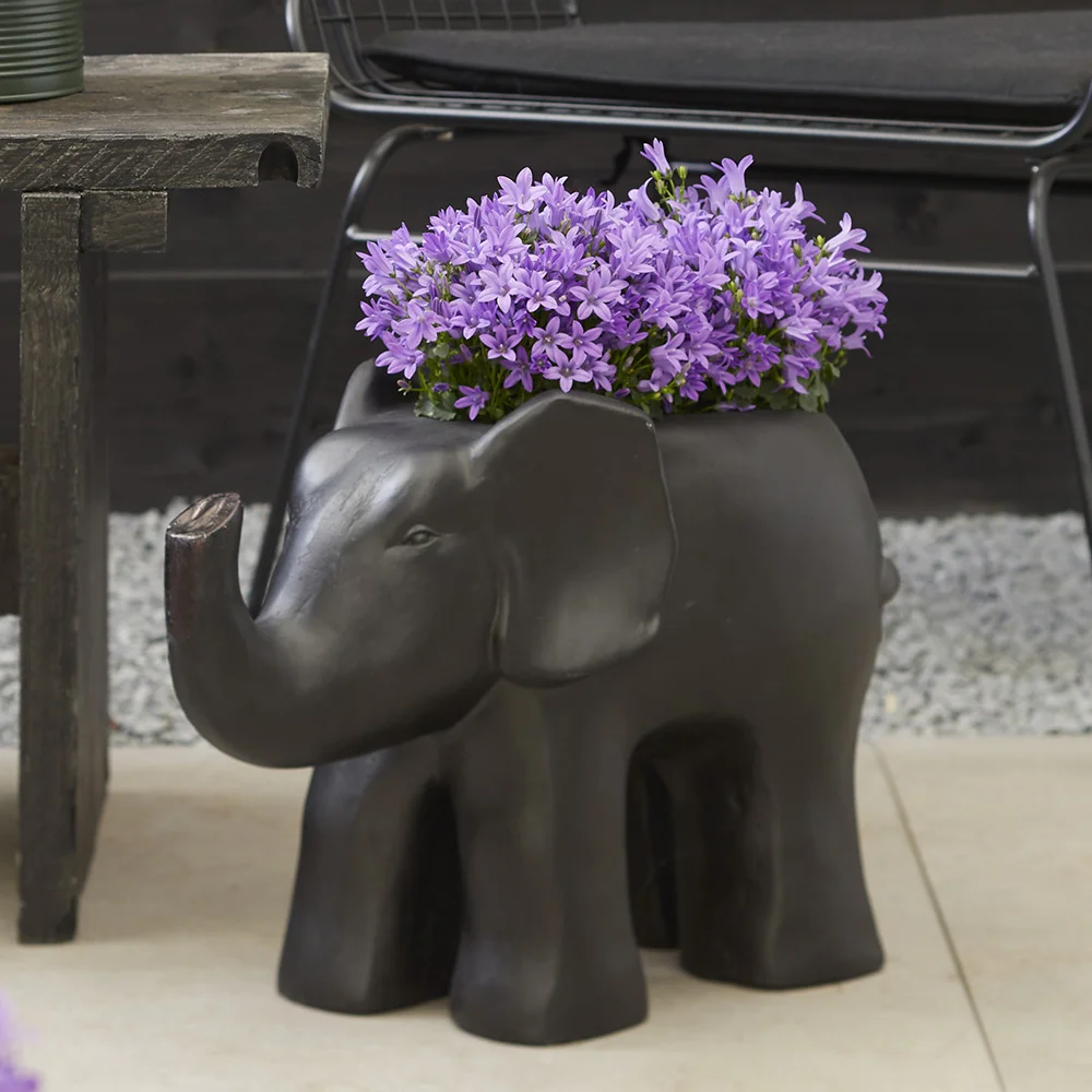 campanula-campala-pot-plant Campanula Campala in olifantvormige pot . Decoratief en speels tuinaccent.