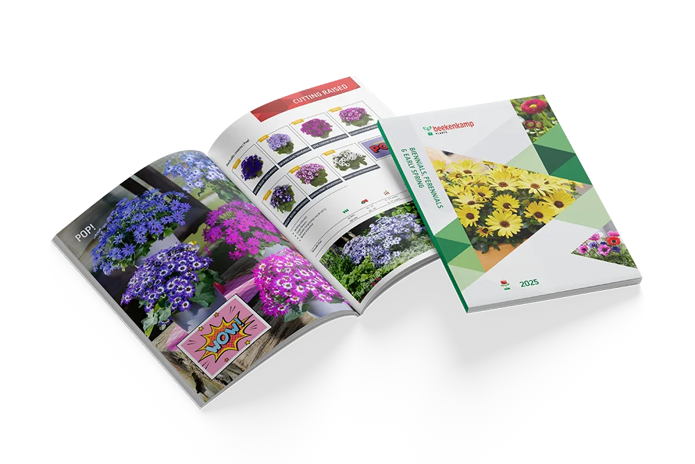 Catalogus met het biennials, perennials en early spring assortiment van 2025.