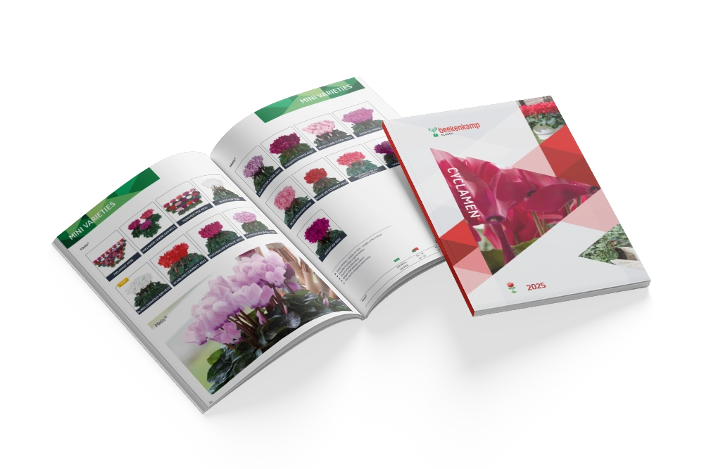 Catalogus met het cyclamen assortiment voor 2025.