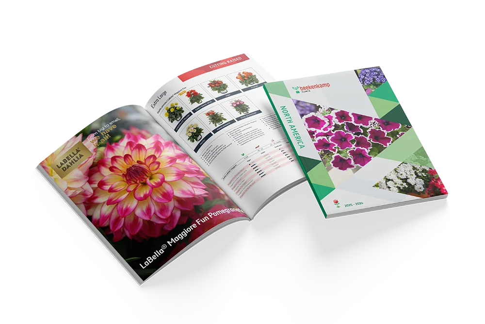 Catalogus voor Noord-Amerika voor 2025-2026.