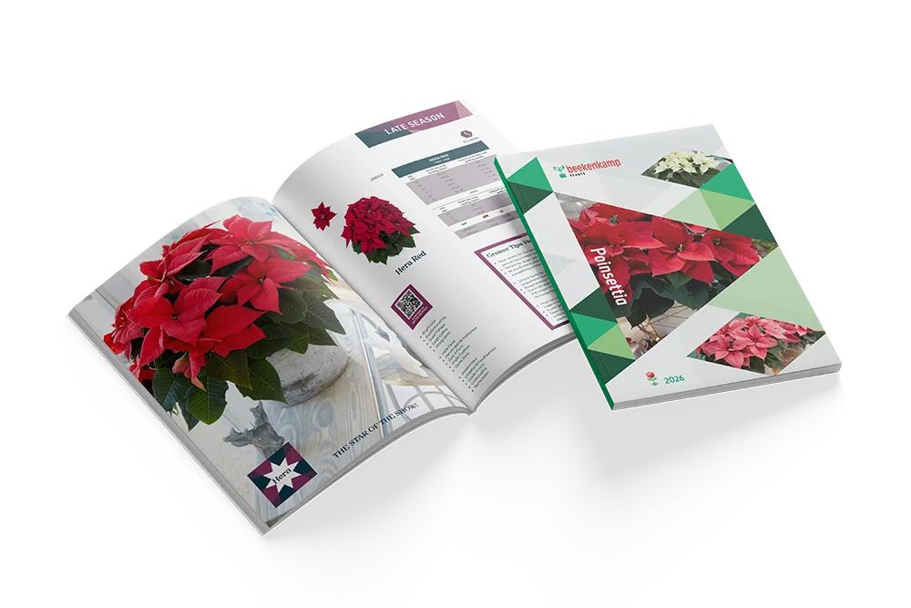 Catalogus met het poinsettia assortiment voor 2026.