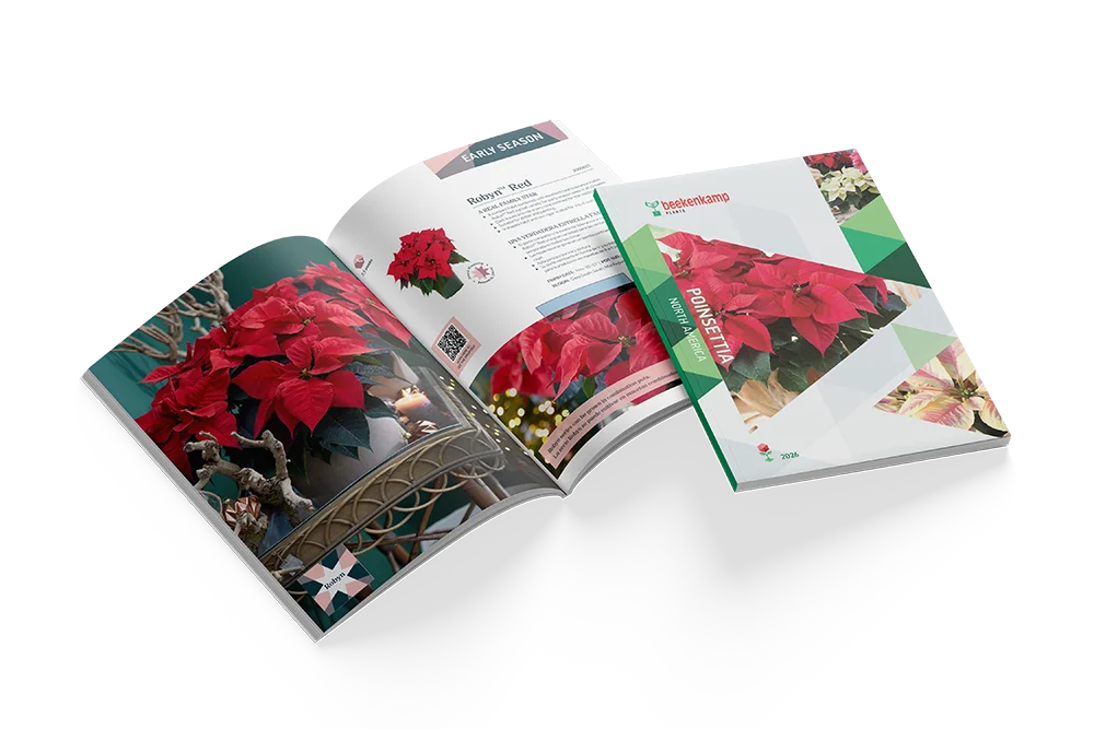 Catalogus met het poinsettia assortiment voor Noord-Amerika voor 2026.