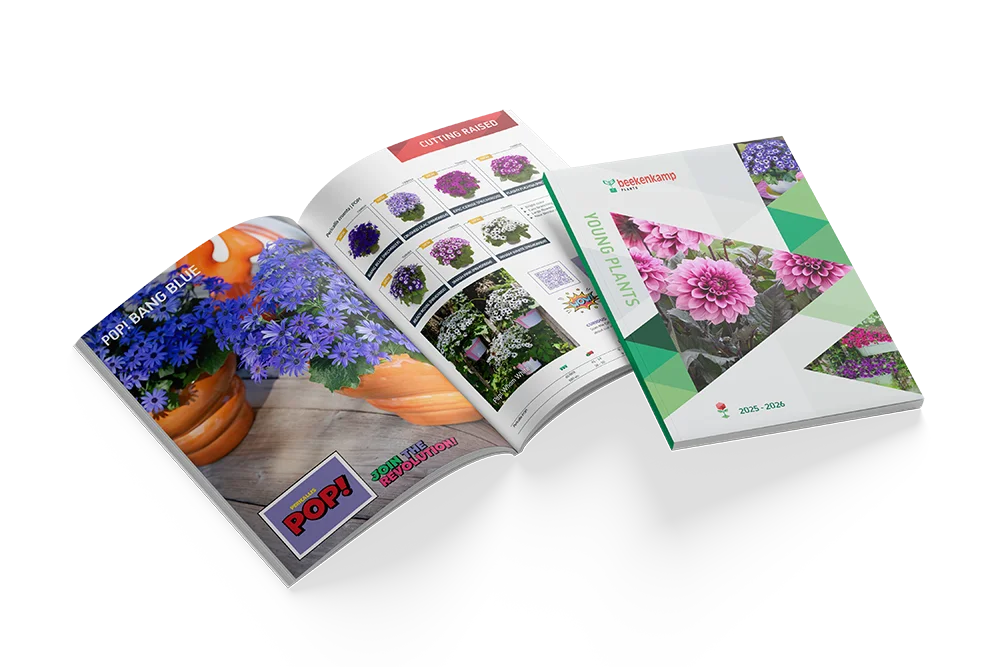 Catalogus met het pot & bedding plants assortiment voor 2025-2026.