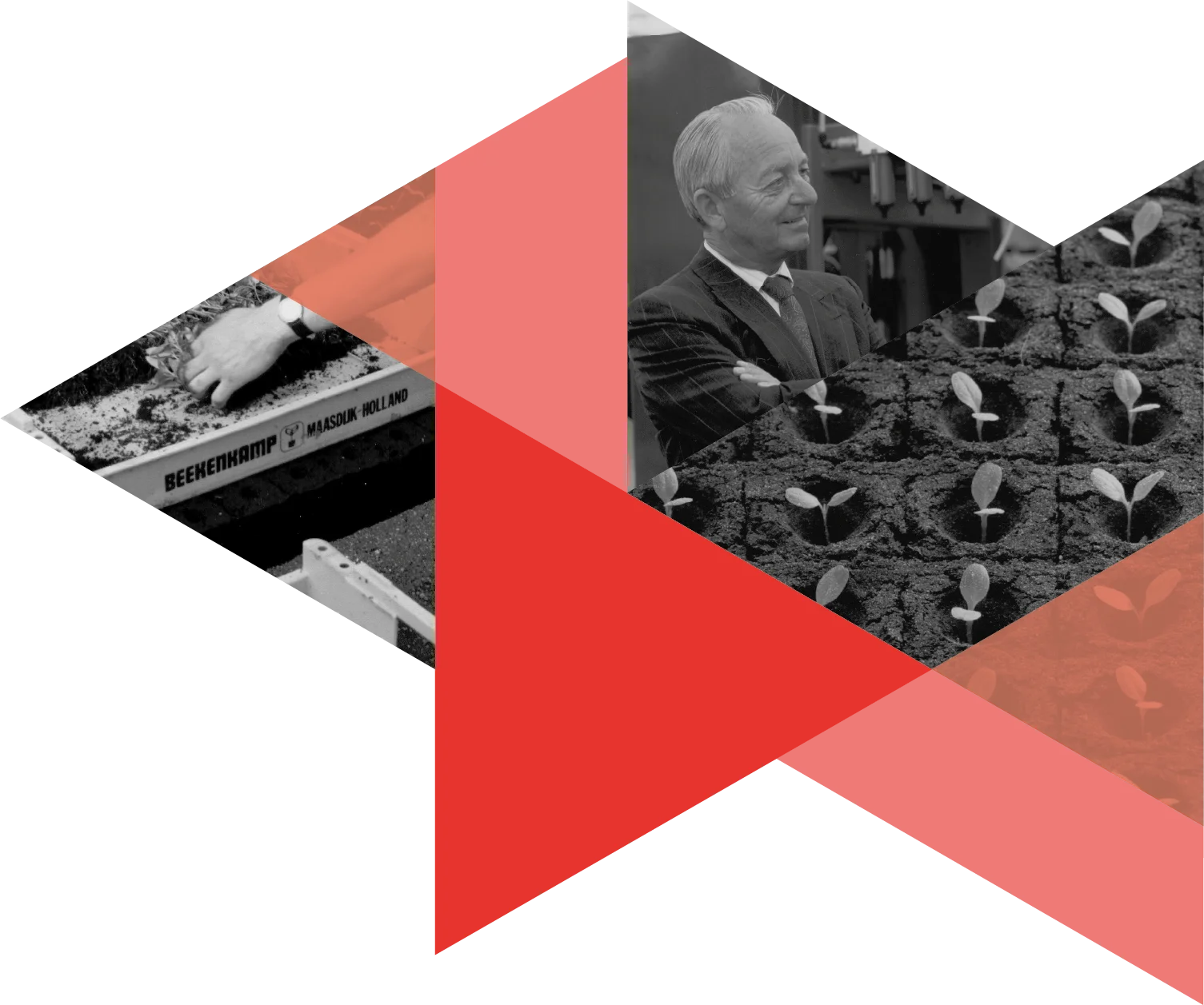 geschiedenis-beekenkamp-group Driehoek collage met zwart-wit foto's van de geschiedenis van Beekenkamp Group.