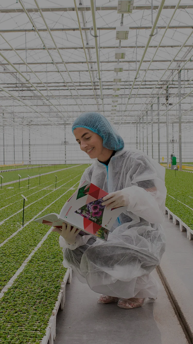 Medewerker in kas van Beekenkamp Ornamentals bekijkt catalogus tussen jonge planten.