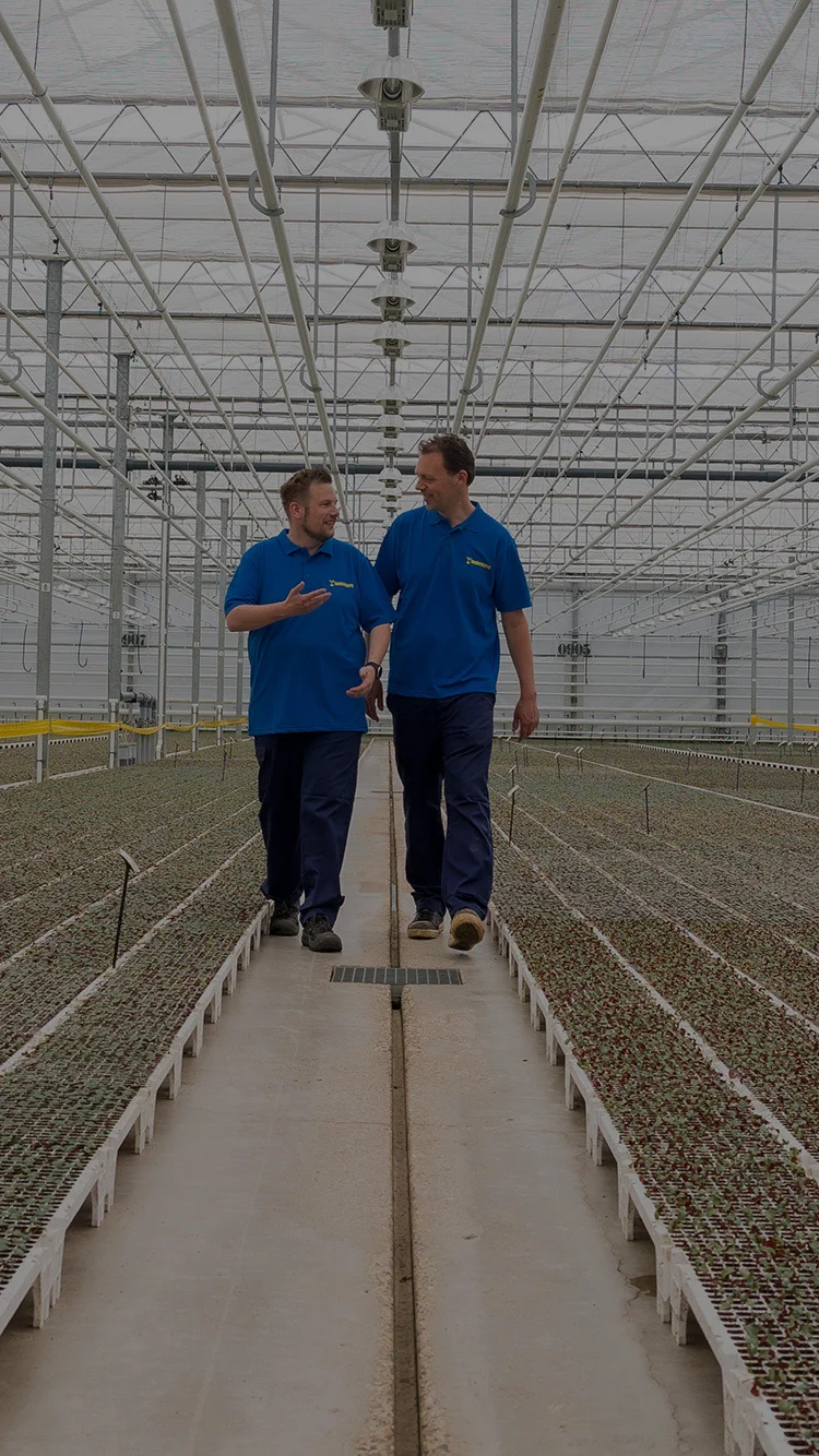 Twee medewerkers lopen door een kas vol jonge planten bij Beekenkamp Ornamentals