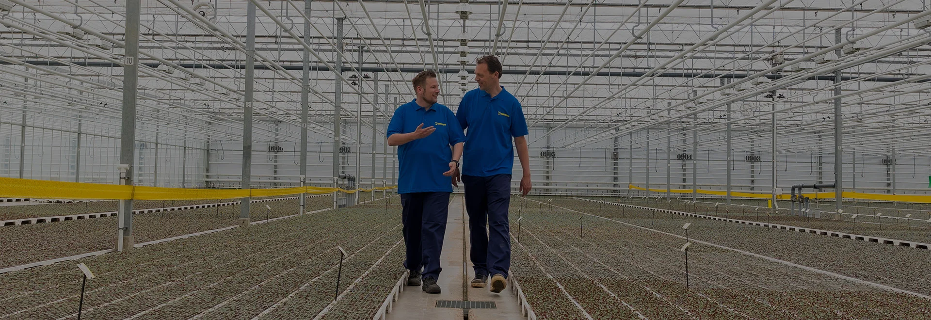 Twee medewerkers lopen door een kas vol jonge planten bij Beekenkamp Ornamentals