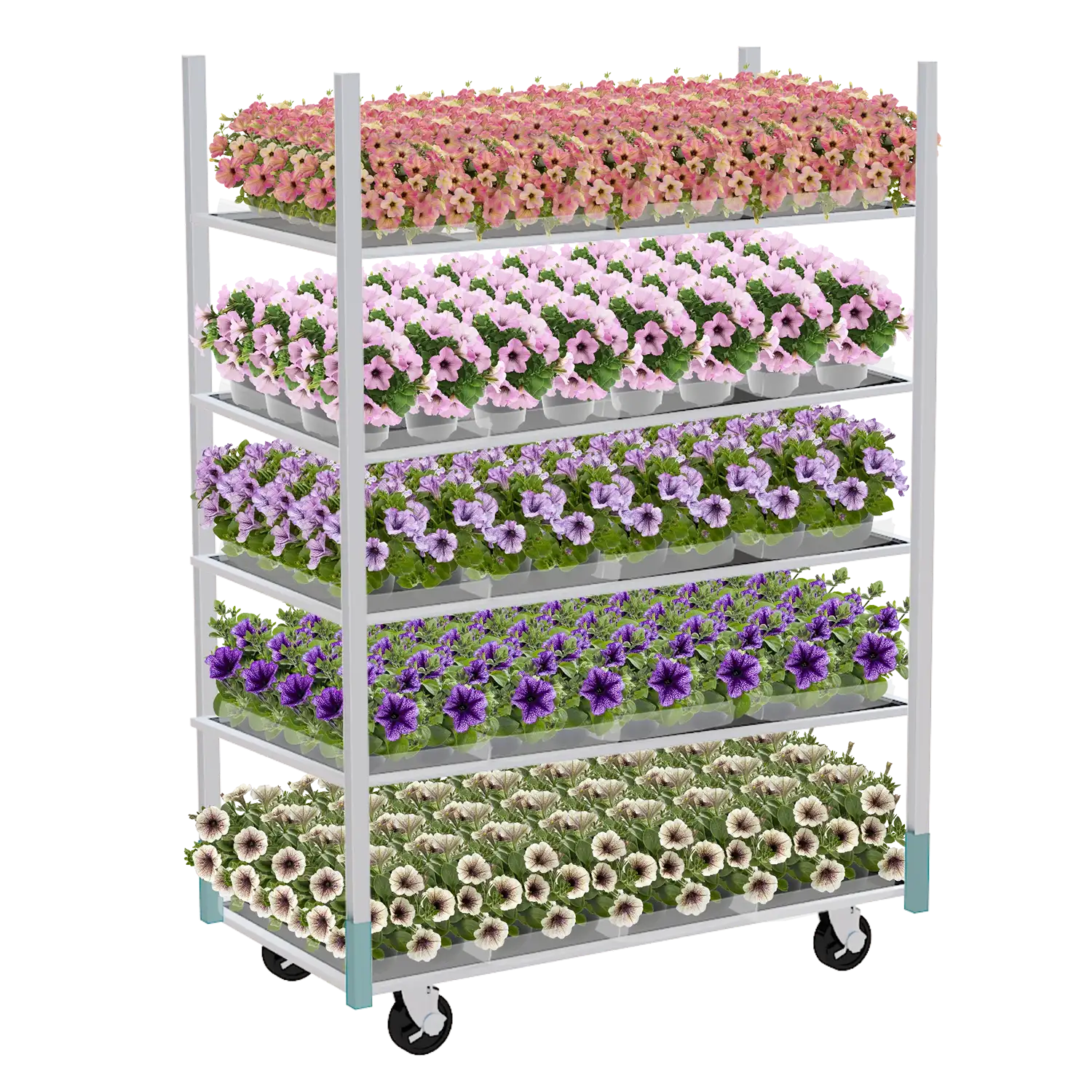 Deense kar met vijf lagen gevuld met bloeiende petunia's in verschillende kleuren voor retailpresentatie.