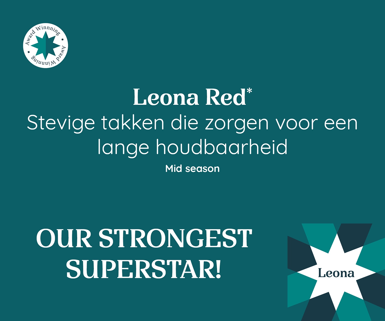 Promotieafbeelding van Poinsettia Leona Red met stevige takken voor langdurige houdbaarheid, geschikt voor het middenseizoen. Label: 'Our Strongest Superstar!'