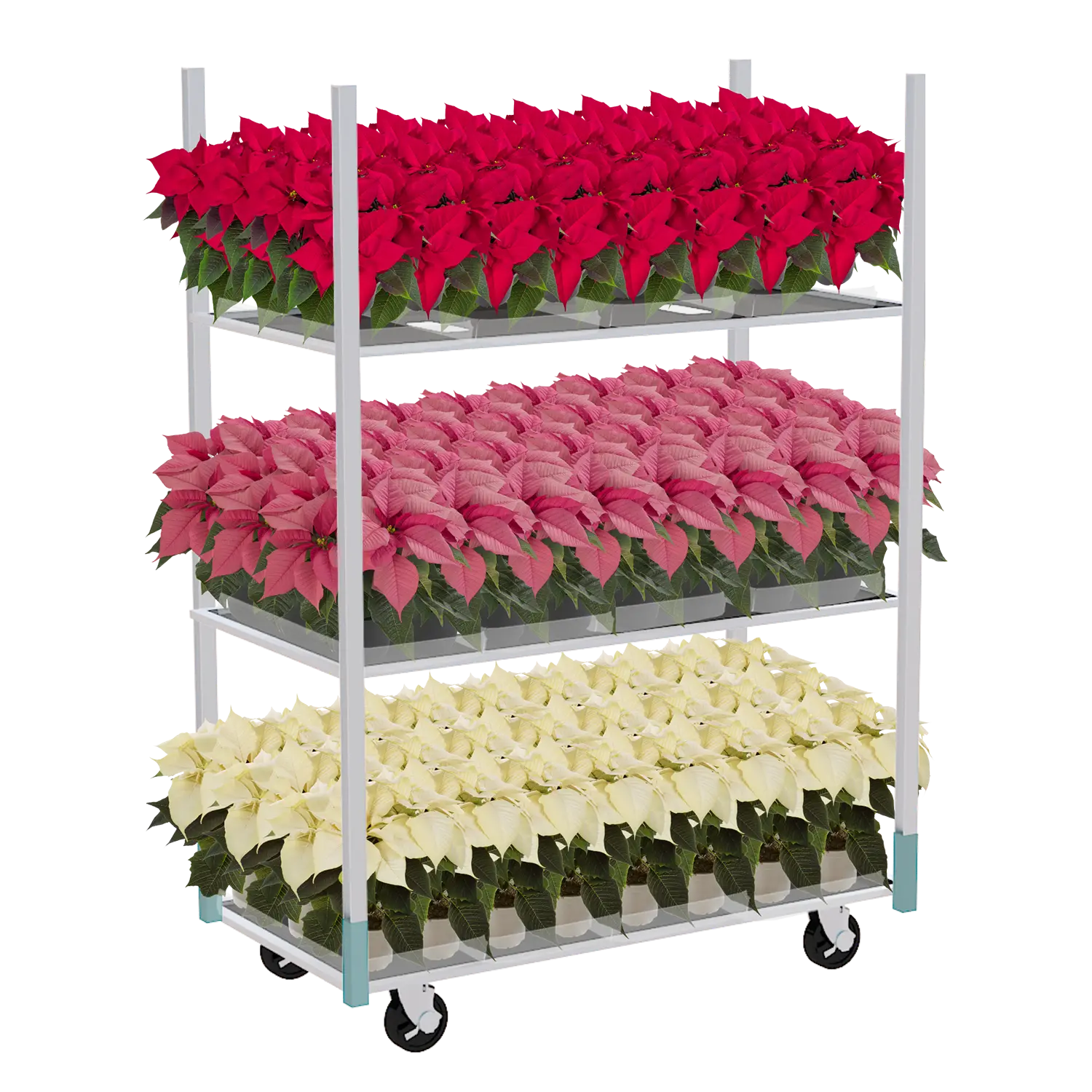 Deense kar met drie lagen gevuld met bloeiende verbena's in verschillende kleuren voor retailpresentatie.