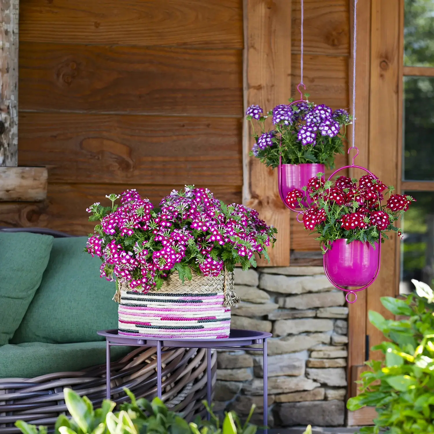 verbena-fuerte-consument Hangpotten en manden met rode en paarse Verbena Fuerte bloemen bij buitenzitje.