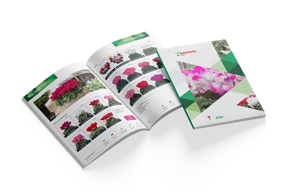 Catalogus met het cyclamen assortiment voor 2026.