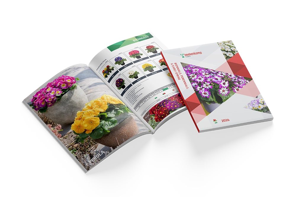 Catalogus met het Biennials assortiment voor 2026