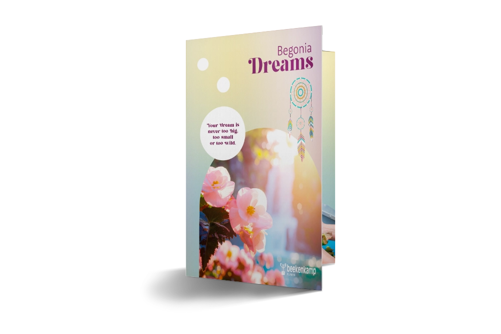 Brochure met het Begonia Dreams assortiment
